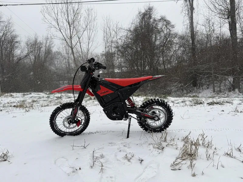 Waking the Beast: The Ultimate Spring Maintenance Guide for Electric Dirt Bikes